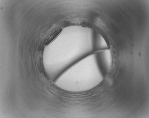 X0000051910229200507152039