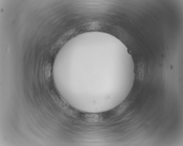 X0000051910230200507152039