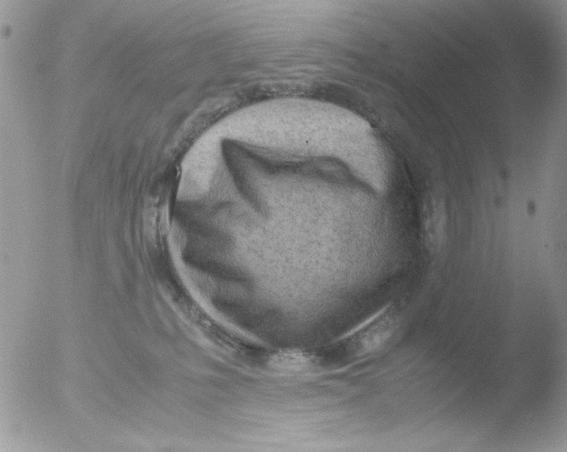 X0000051910231200507152039