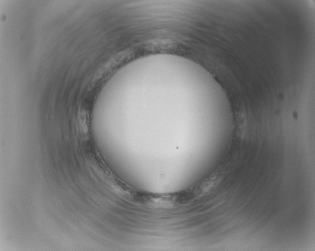 X0000051910232200507152039