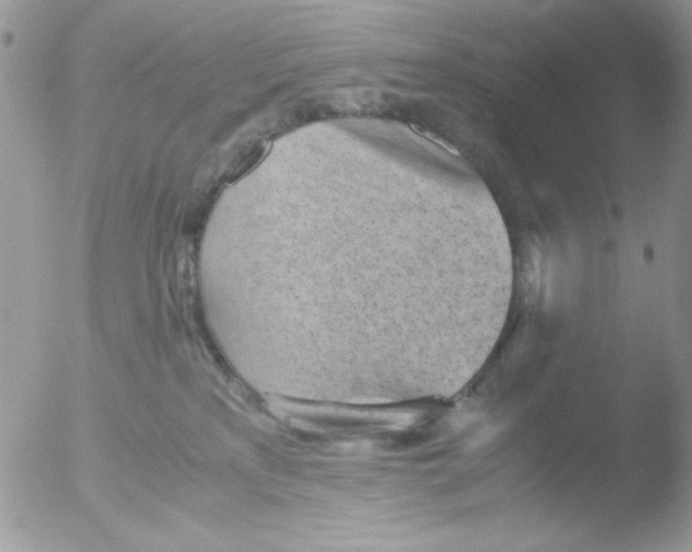 X0000051910233200507152039