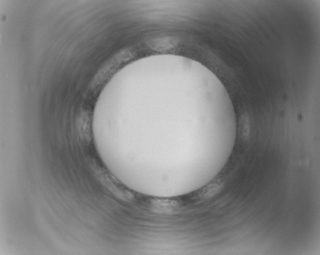 X0000051910234200507152039