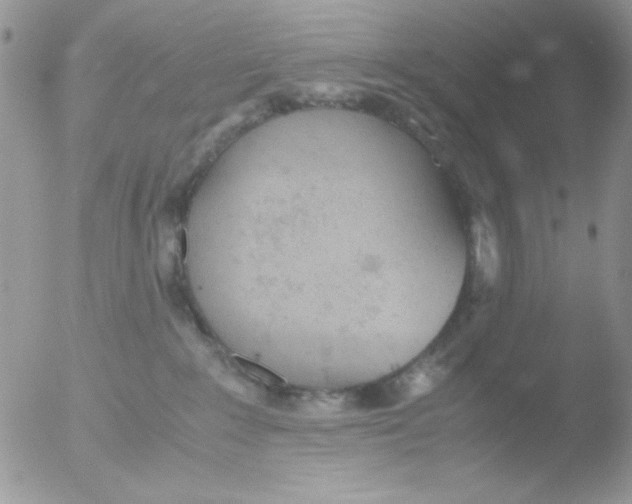 X0000051910235200507152039