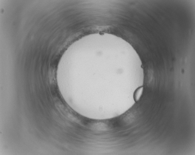 X0000051910236200507152039