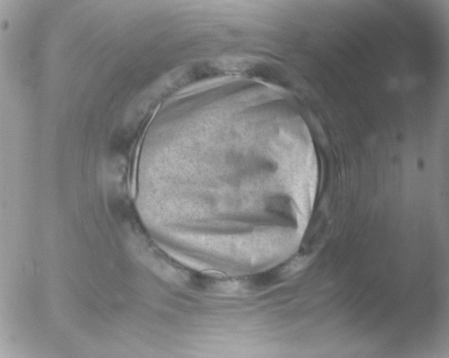 X0000051910237200507152039