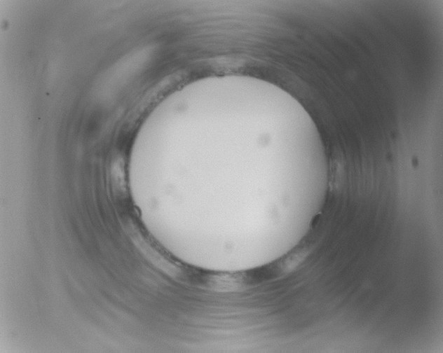 X0000051910238200507152039