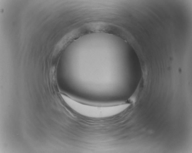 X0000051910239200507152039