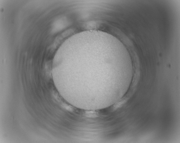 X0000051910240200507152039