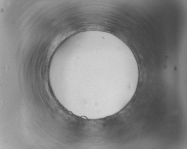 X0000051910241200507152038