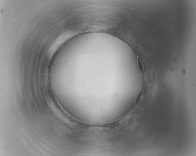 X0000051910242200507152038