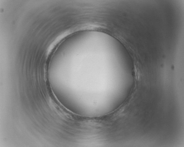 X0000051910244200507152038