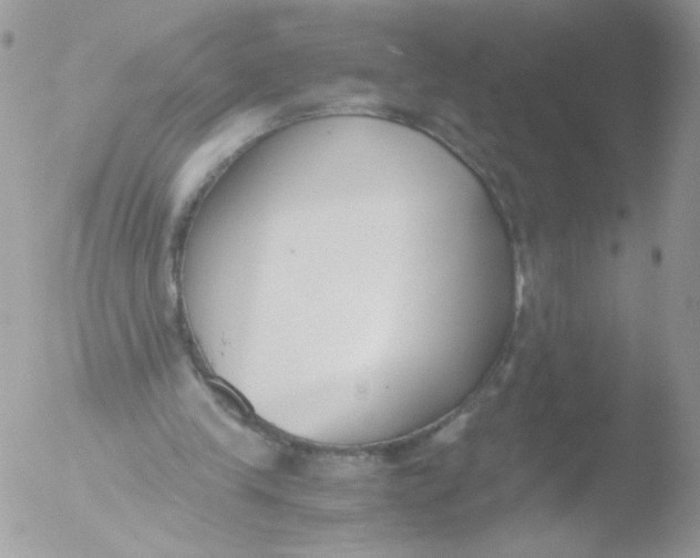 X0000051910245200507152038