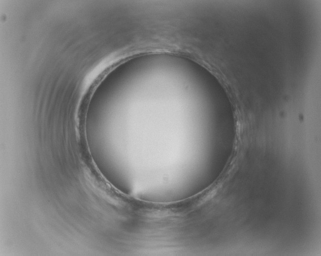 X0000051910246200507152038