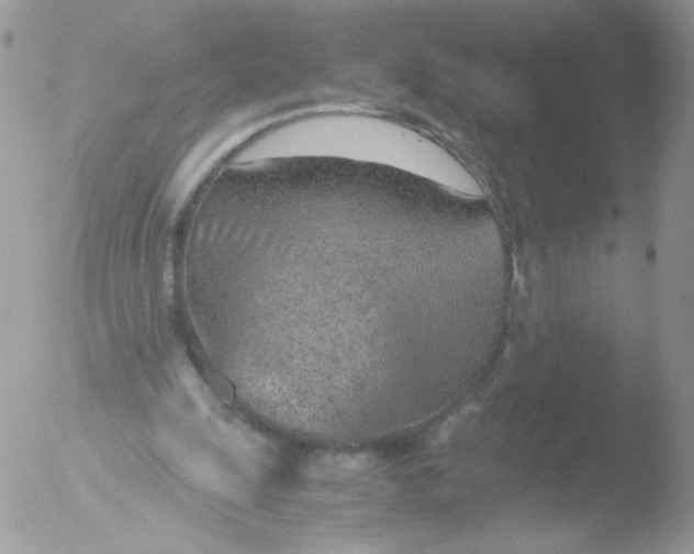 X0000051910247200507152038