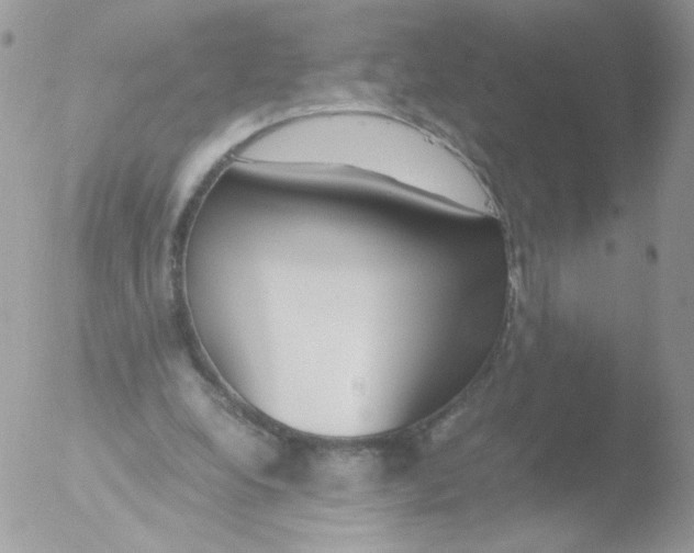 X0000051910248200507152038