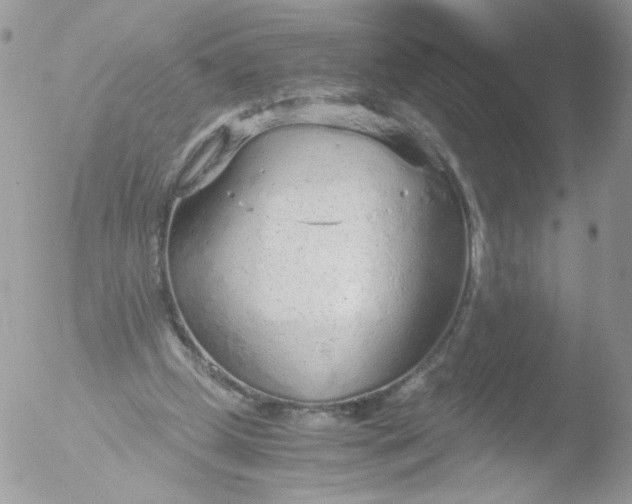 X0000051910249200507152038