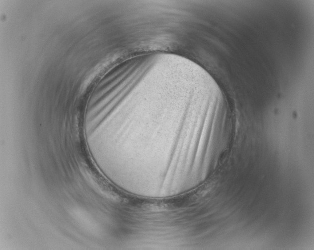 X0000051910250200507152038