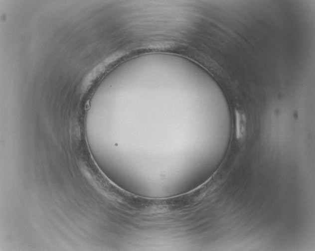 X0000051910252200507152038