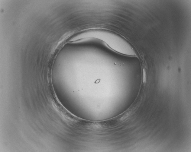 X0000051910253200507152038