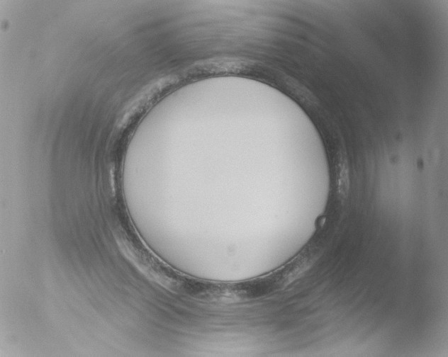 X0000051910254200507152038