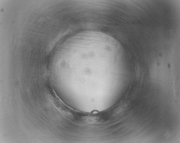 X0000051910255200507152038