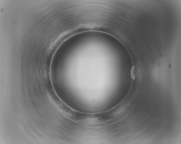 X0000051910256200507152038