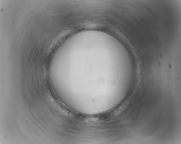 X0000051910257200507152038