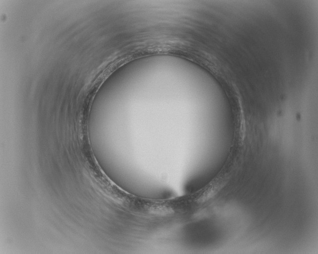 X0000051910258200507152038