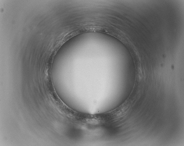 X0000051910259200507152038