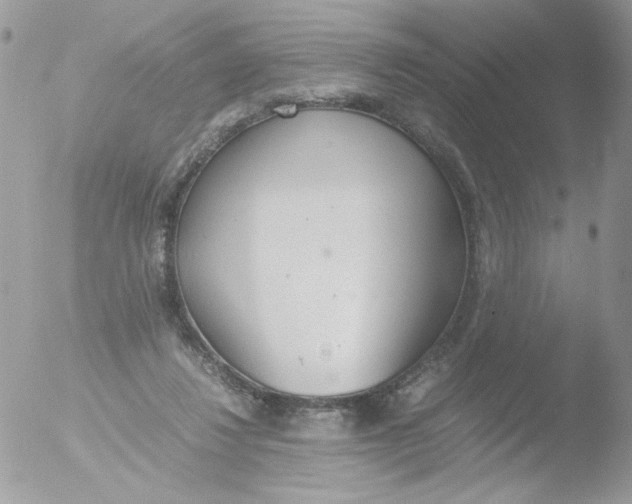 X0000051910260200507152038