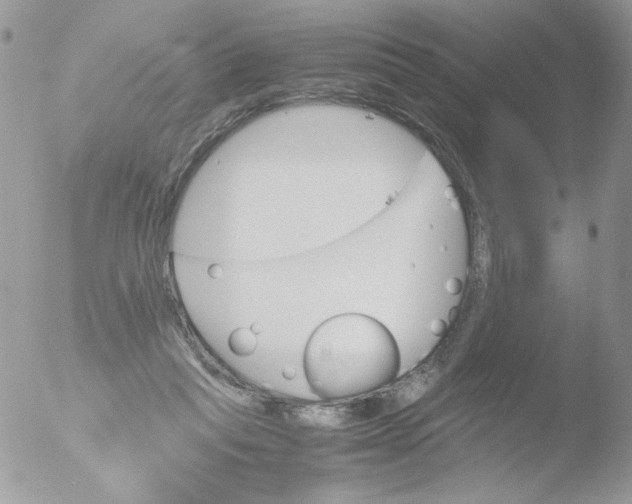 X0000051910261200507152038