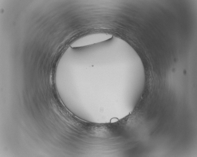 X0000051910262200507152038