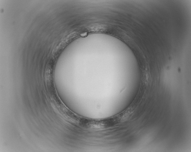 X0000051910263200507152038