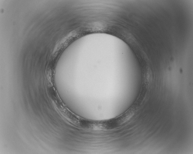 X0000051910264200507152038