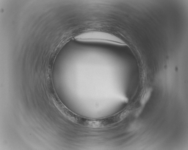 X0000051910265200507152038