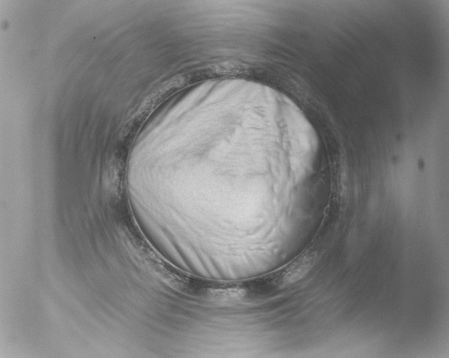 X0000051910266200507152038