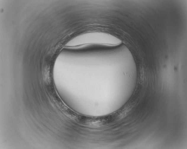 X0000051910267200507152038