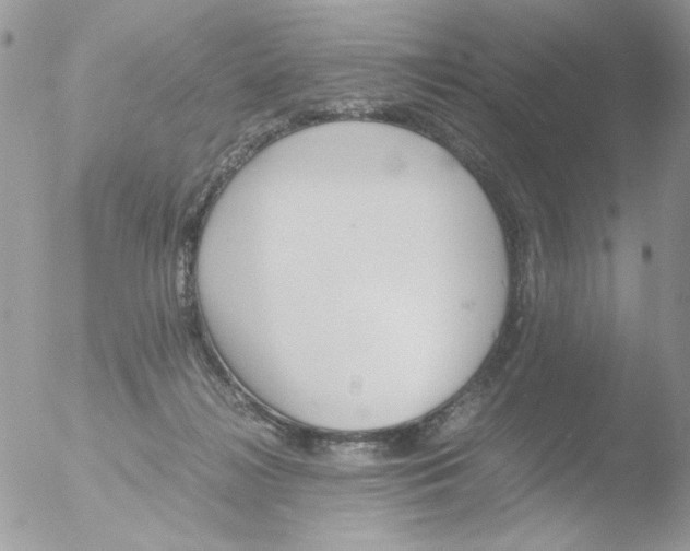 X0000051910268200507152038