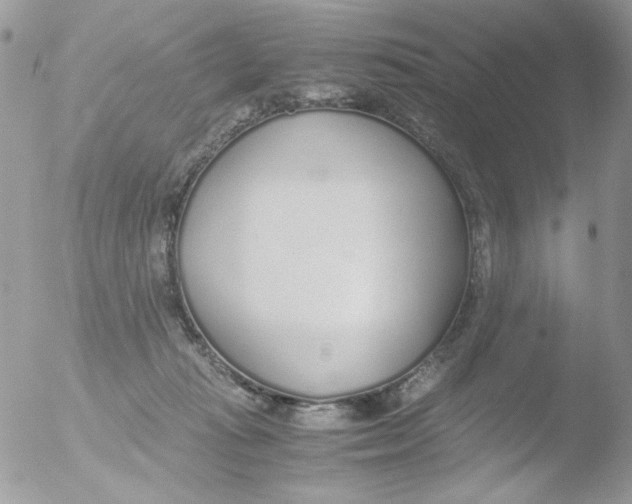 X0000051910269200507152039