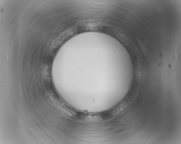 X0000051910270200507152039