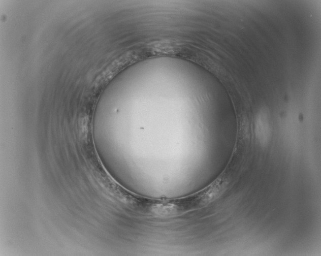 X0000051910271200507152039