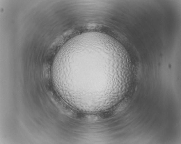 X0000051910272200507152039