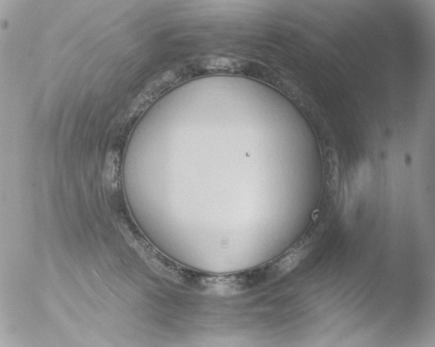 X0000051910273200507152039