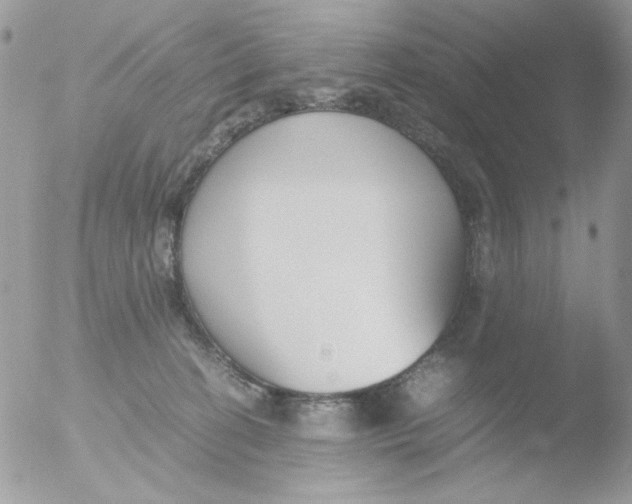 X0000051910274200507152039