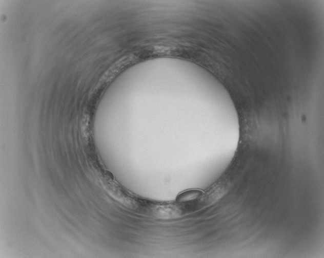 X0000051910275200507152039