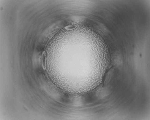 X0000051910276200507152039