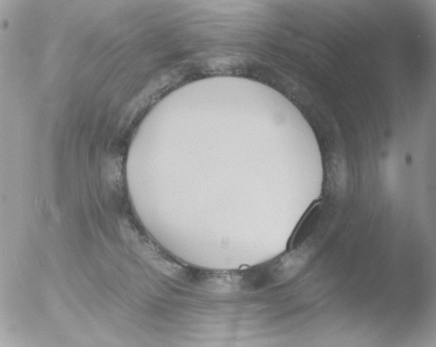 X0000051910278200507152039