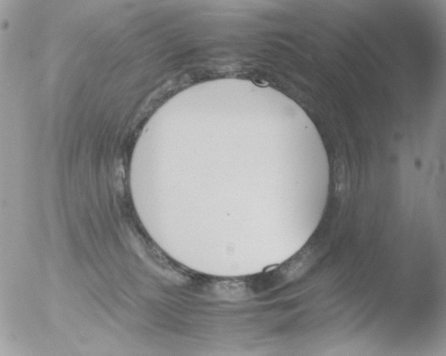 X0000051910279200507152039