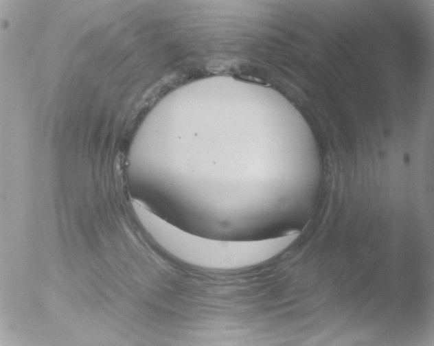 X0000051910280200507152039