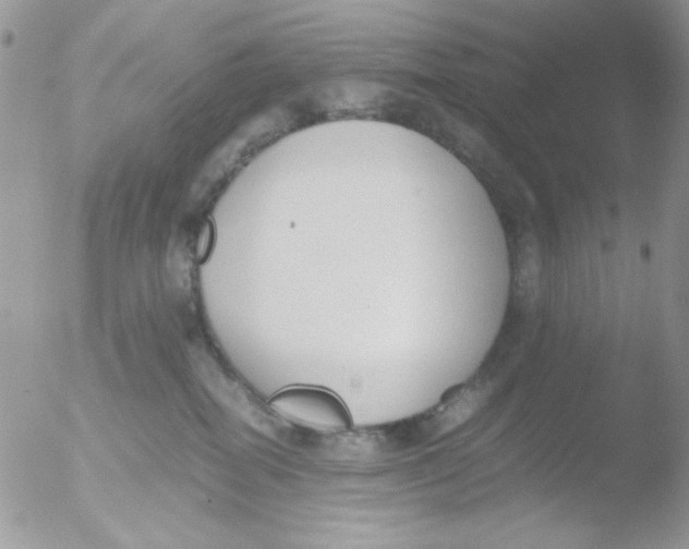 X0000051910282200507152039